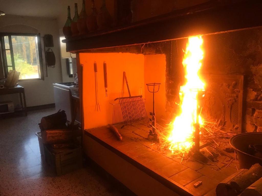 Casa Vacanze Podere Marilla Peccioli Ngoại thất bức ảnh